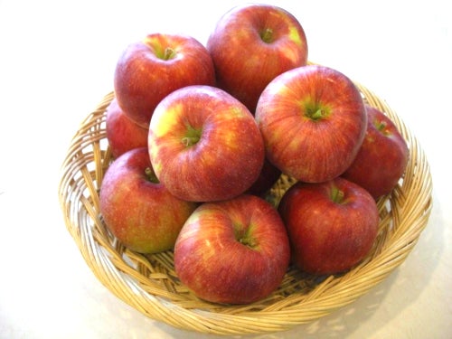 【東岡崎発】お肌つるつる!美人の湯「昼神温泉」&大玉蜜入りふじりんご詰め放題&塩ちゃんこ鍋食べ放題3